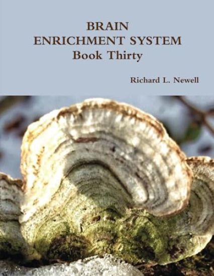 BRAIN ENRICHMENT SYSTEM Book Thirty