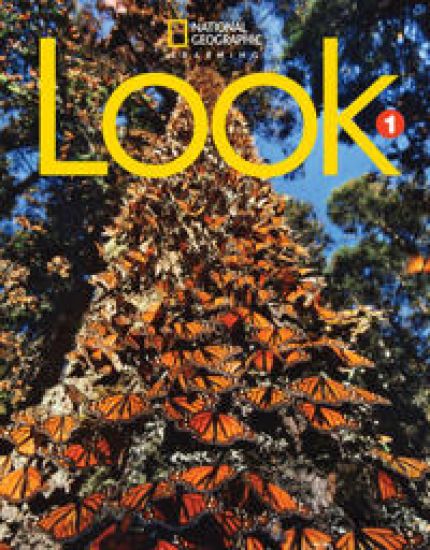 Look 1: Workbook
