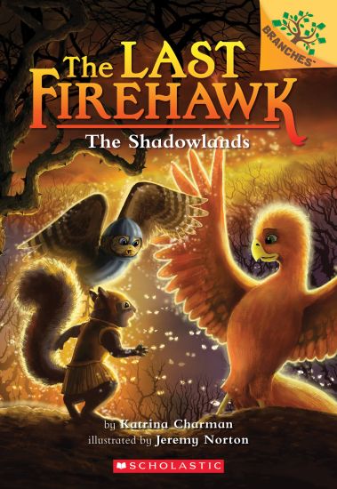 The Shadowlands: A Branches Book (the Last Firehawk #5): Volume 5