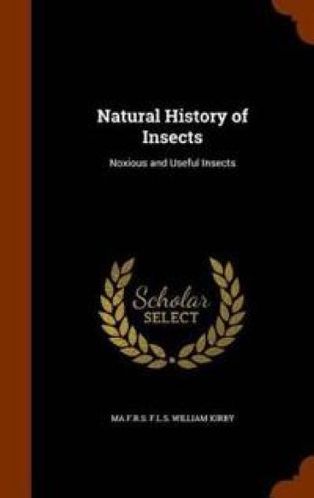 Natural History of Insects
