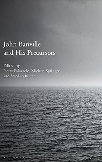 John Banville and His Precursors