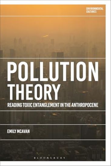 Pollution Theory
