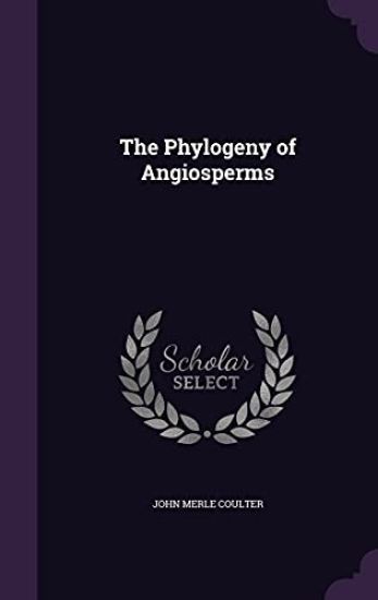 The Phylogeny of Angiosperms
