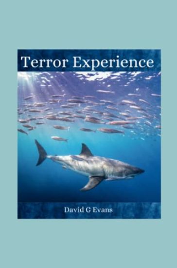 Terror Experience