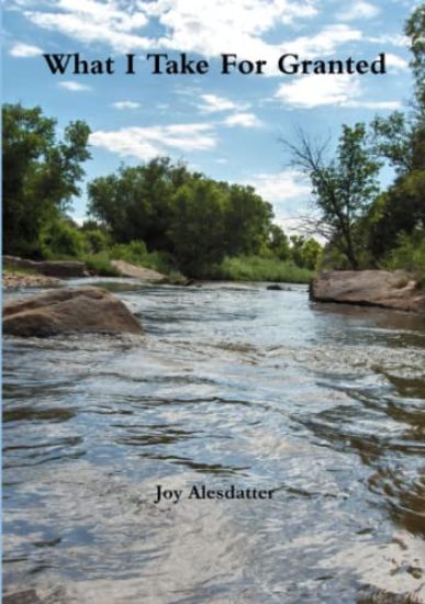 What I Take For Granted