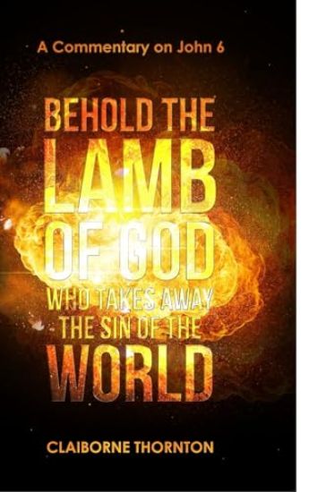 Behold The Lamb of God Who Takes Away the Sin of the World