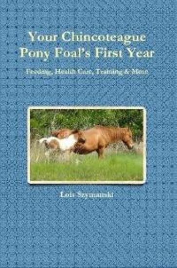 Your Chincoteague Pony Foal's First Year