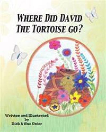 Where Did David The Tortoise Go?