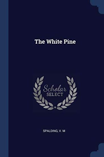 The White Pine