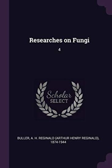 Researches on Fungi