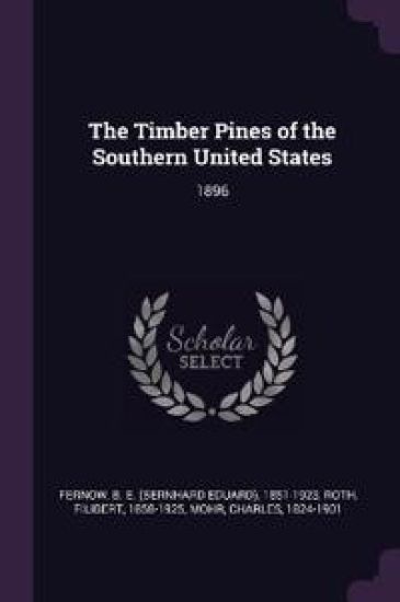 The Timber Pines of the Southern United States