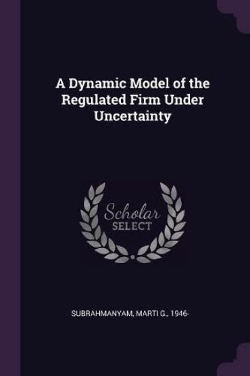 A Dynamic Model of the Regulated Firm Under Uncertainty