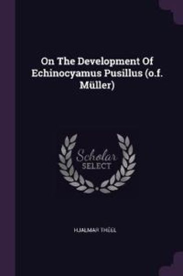 On The Development Of Echinocyamus Pusillus (o.f. Müller)