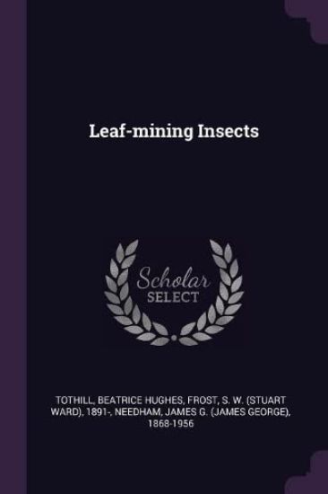Leaf-mining Insects
