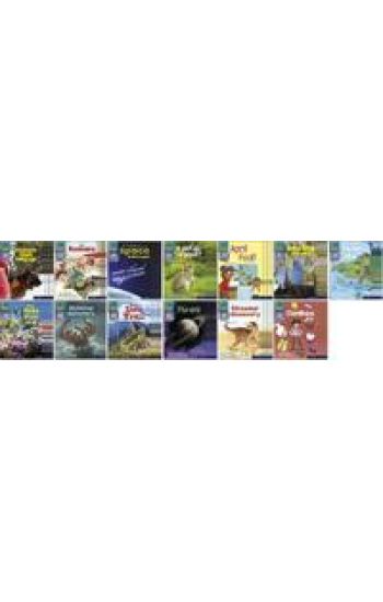 Read Write Inc. Phonics Book Bag Books: Set 7 Grey: Grey Set 7 Non-fiction Book Bag Books (Pack of 130)