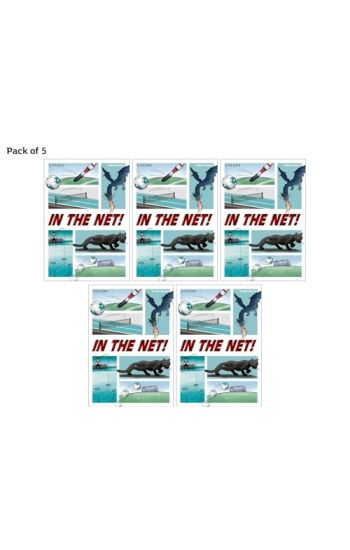 Read Write Inc. Fresh Start Readers: Book 1: In the Net! - Pack of 5