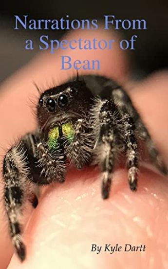 Narrations From a Spectator of Bean