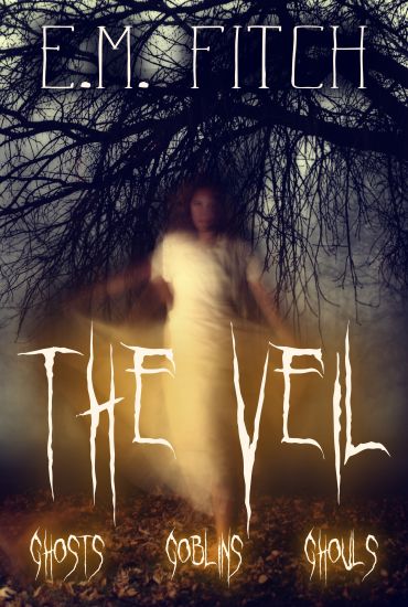 The Veil
