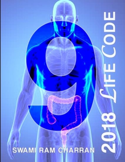 Lifecode #9 Yearly Forecast for 2018 Indra