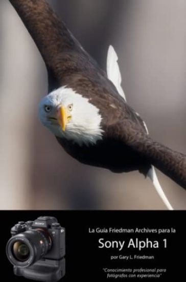 La Guía "The Friedman Archives" Para La Sony A1