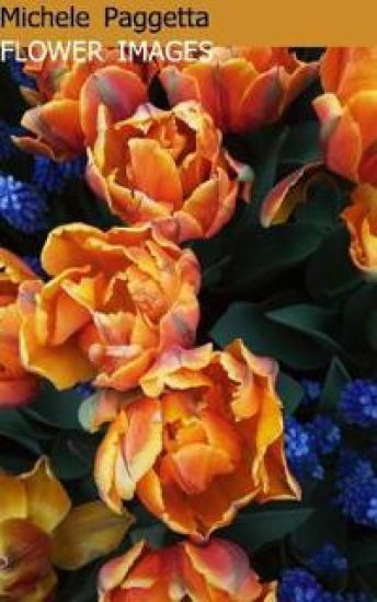 Flower Images