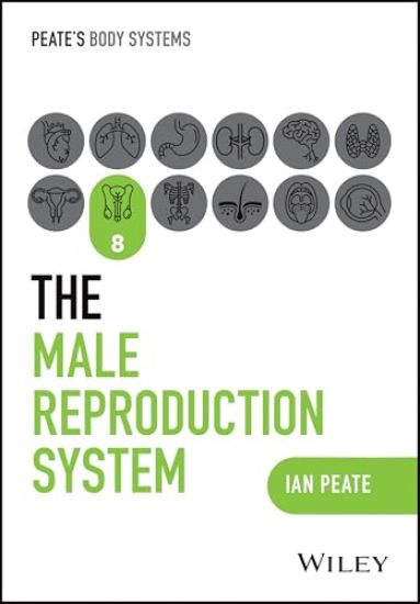 Male Reproductive System