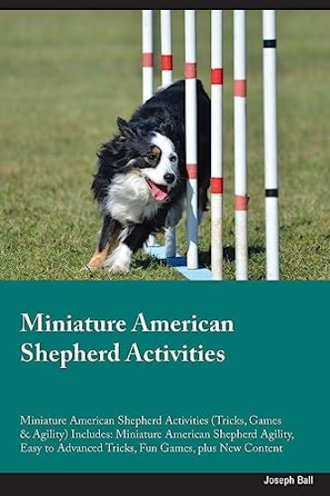 Miniature American Shepherd Activities Miniature American Shepherd Activities (Tricks, Games & Agility) Includes