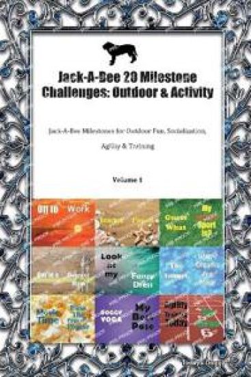 Jack-A-Bee 20 Milestone Challenges