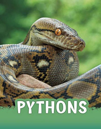 Pythons