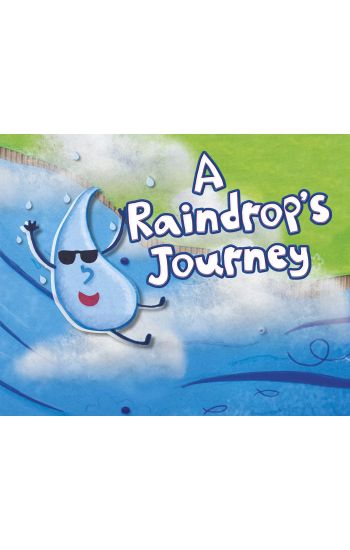 Raindrop's Journey