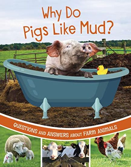 Why Do Pigs Like Mud?