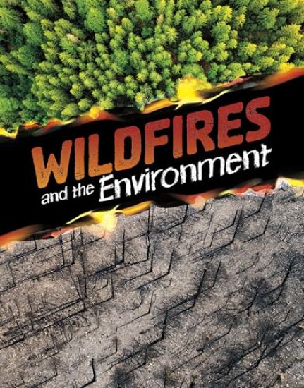 Wildfires and the Environment