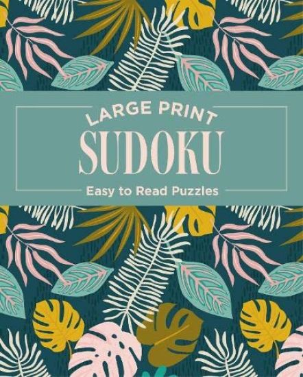 Large Print Sudoku
