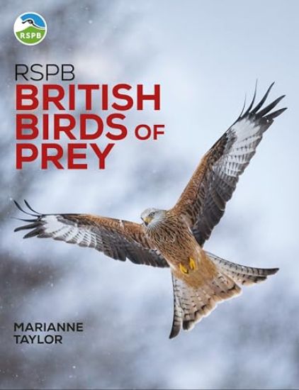 RSPB British Birds of Prey