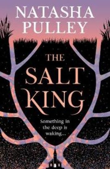 The Salt King