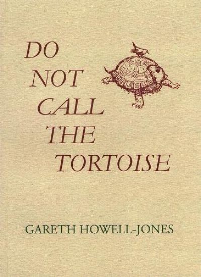 Do Not Call the Tortoise
