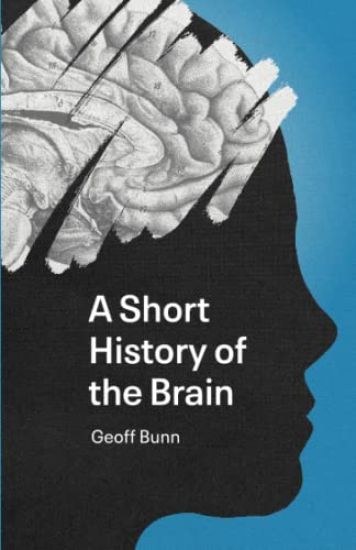 A Short History of the Brain