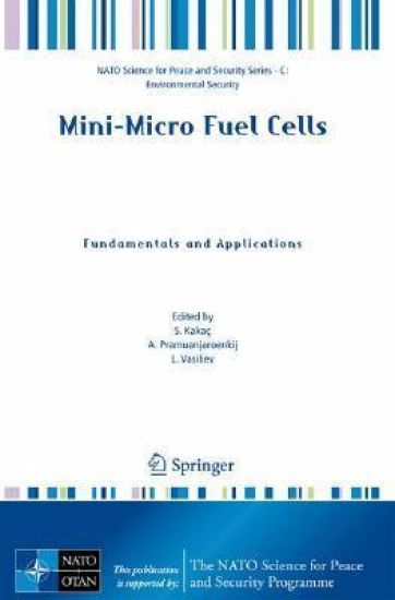 Mini-Micro Fuel Cells