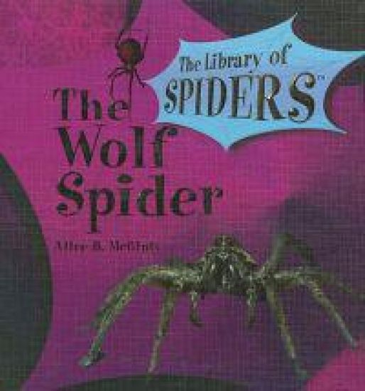 The Wolf Spider