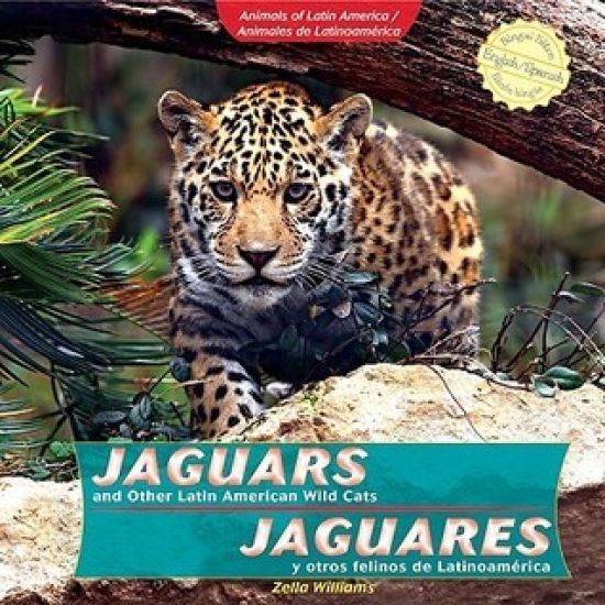 Jaguars and Other Latin American Wild Cats / Jaguares Y Otros Felinos de Latinoamérica