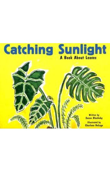 Catching Sunlight: A Book about Leaves