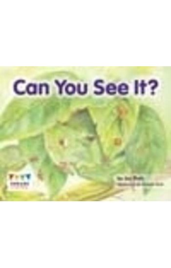 Can You See It?