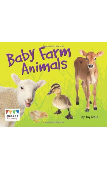 Baby Farm Animals
