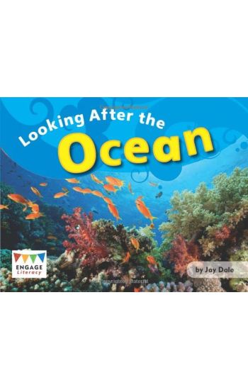 Looking After the Ocean