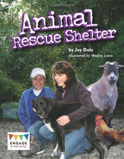Animal Rescue Shelter