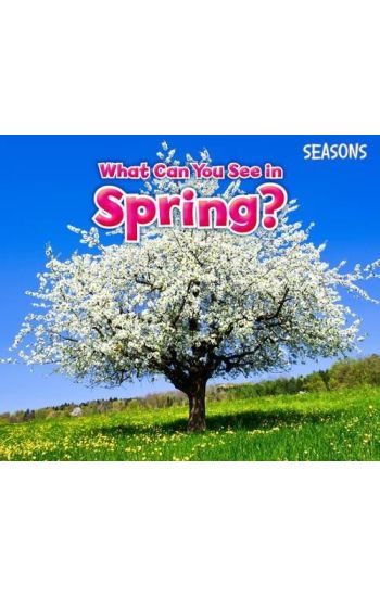 What Can You See In Spring?