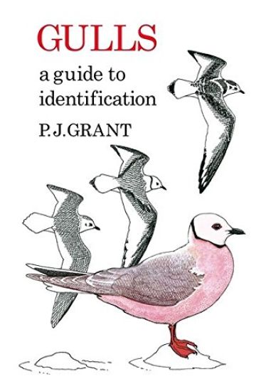 Gulls: A Guide to Identification. 2nd Edition