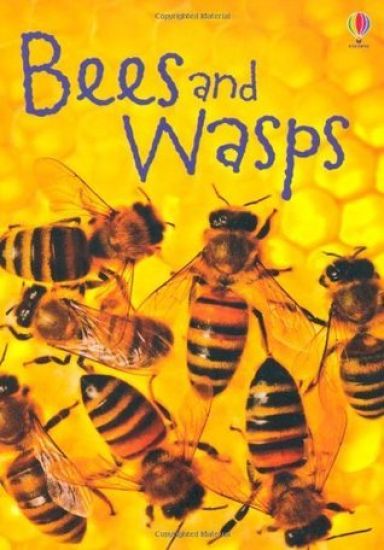 Bees and Wasps