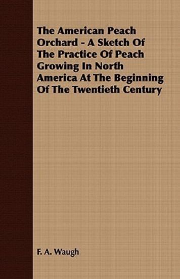 The American Peach Orchard - A Sketch Of The Practice Of Peach Growing In North America At The Beginning Of The Twentieth Century