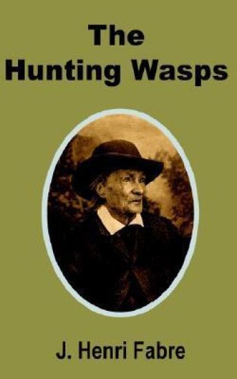 The Hunting Wasps